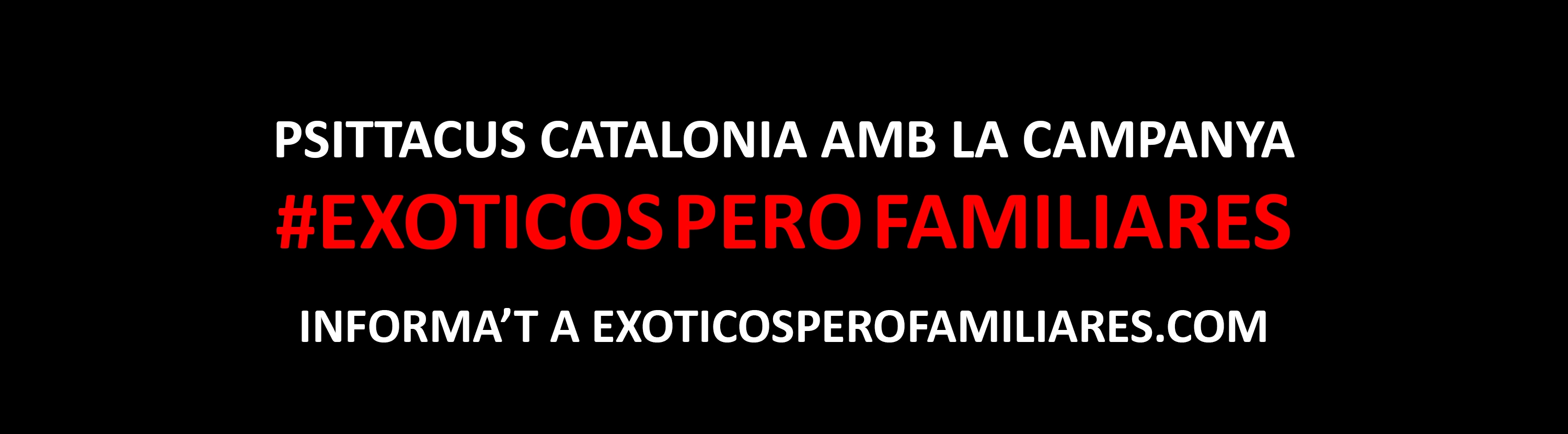 psittacus-header-image