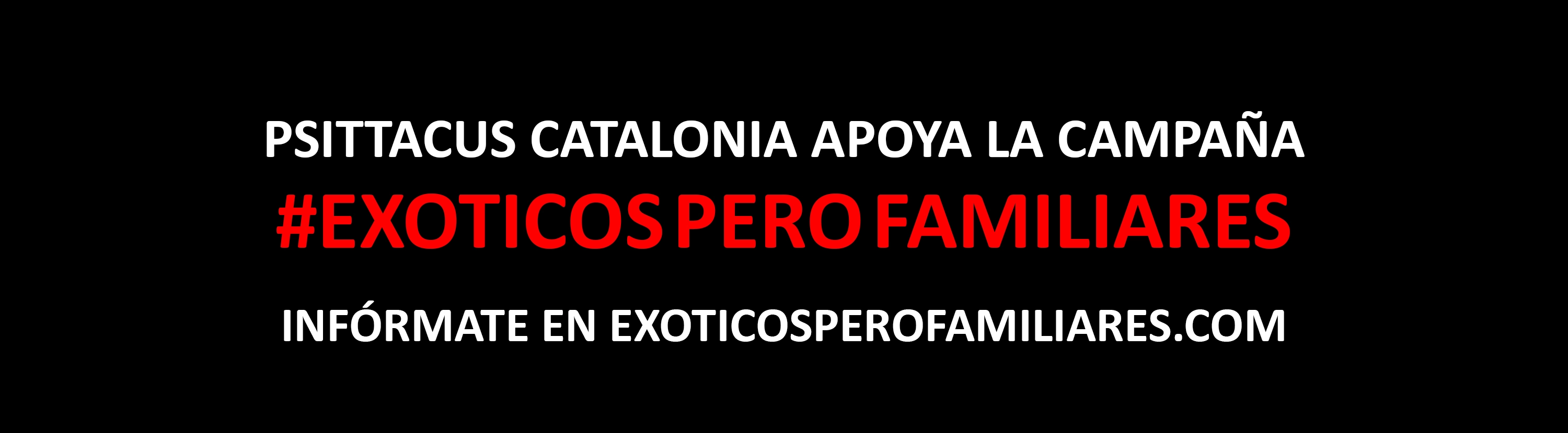 psittacus-header-image